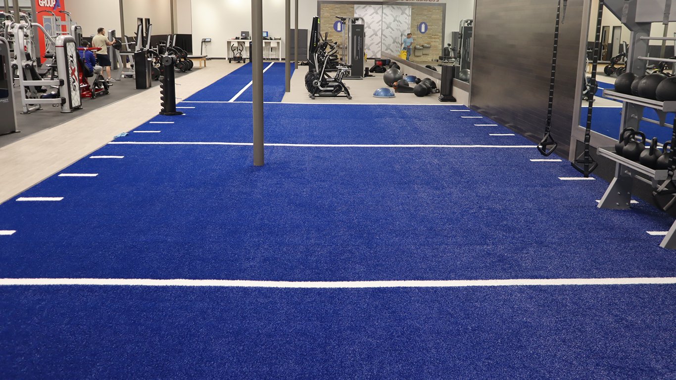 Turf