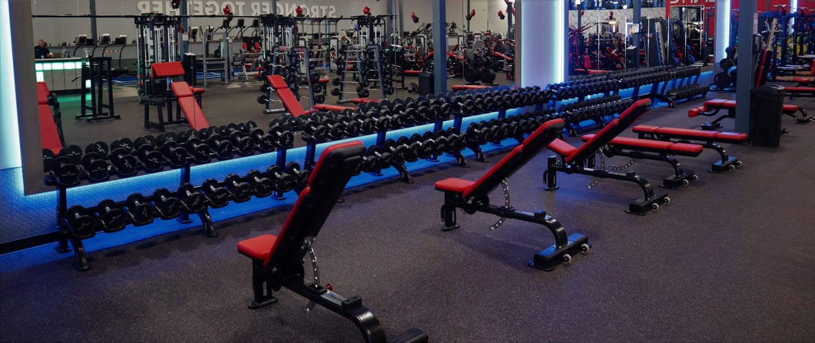 dumbbellsandbenches